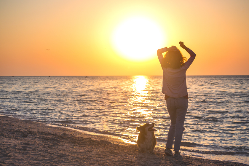 dog friendly weekend getaways