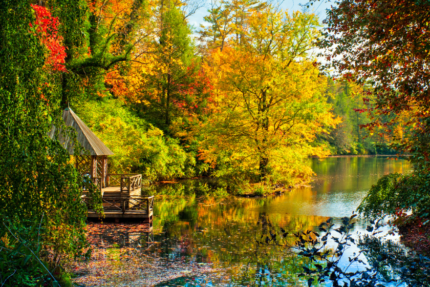 pet friendly  weekend getaways