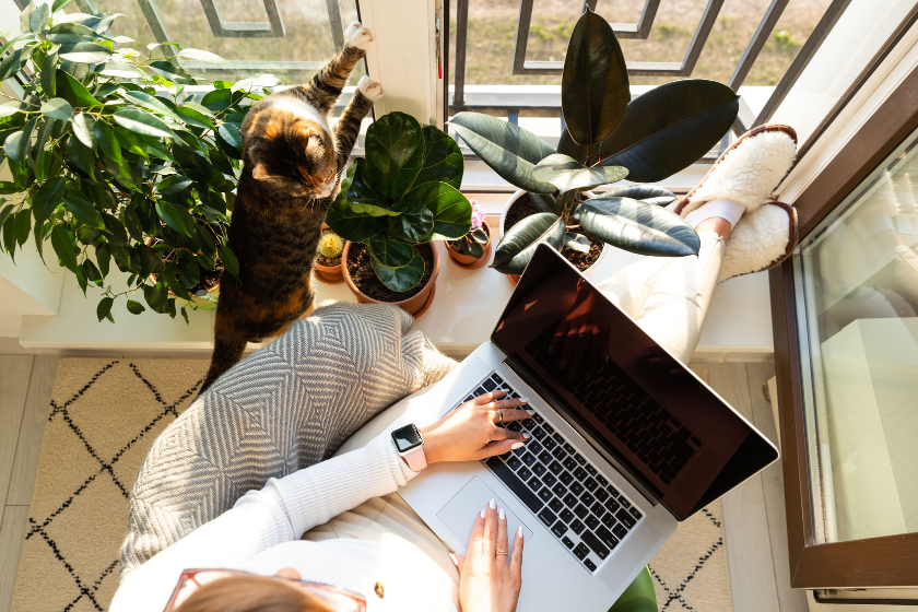pet friendly vacation rental
