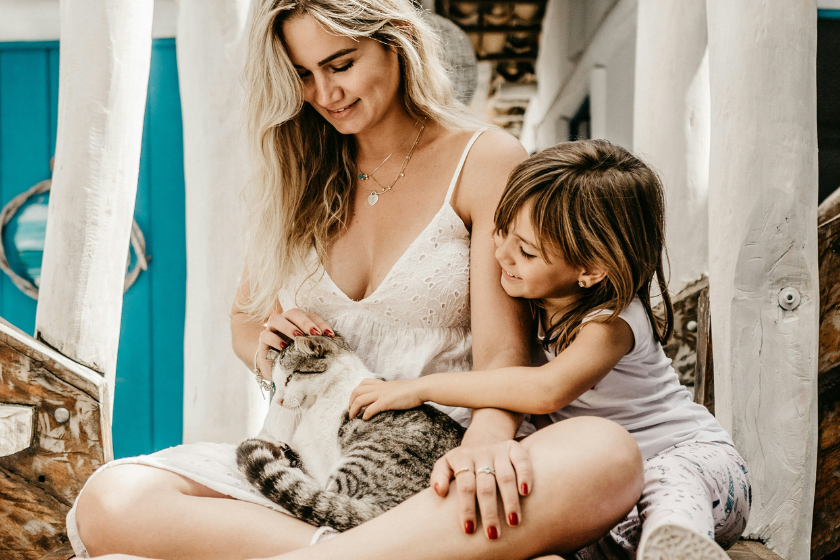 pet friendly airbnb