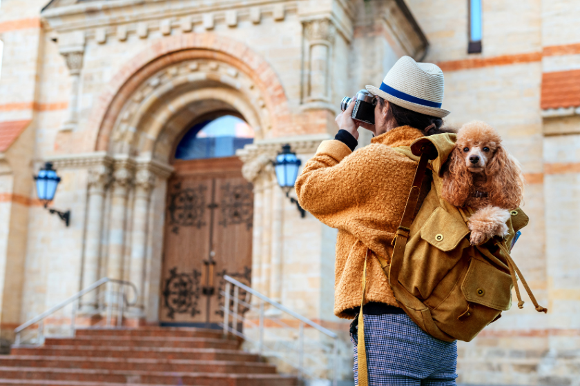 pet friendly vacation rentals