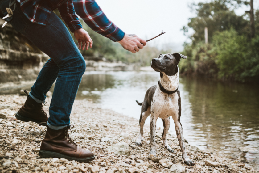 dog friendly weekend getaways