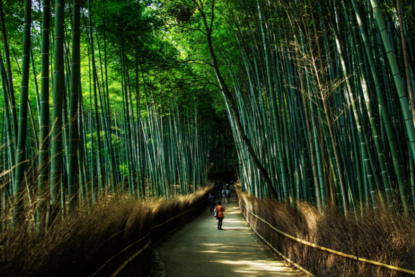 best places to visit june kyoto