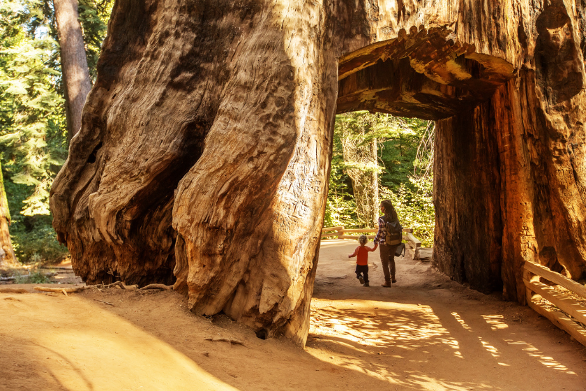 best places to visit may yosemite