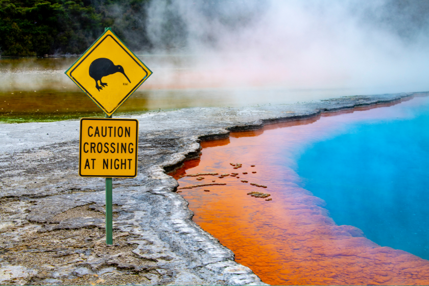 best places to visit november rotorua