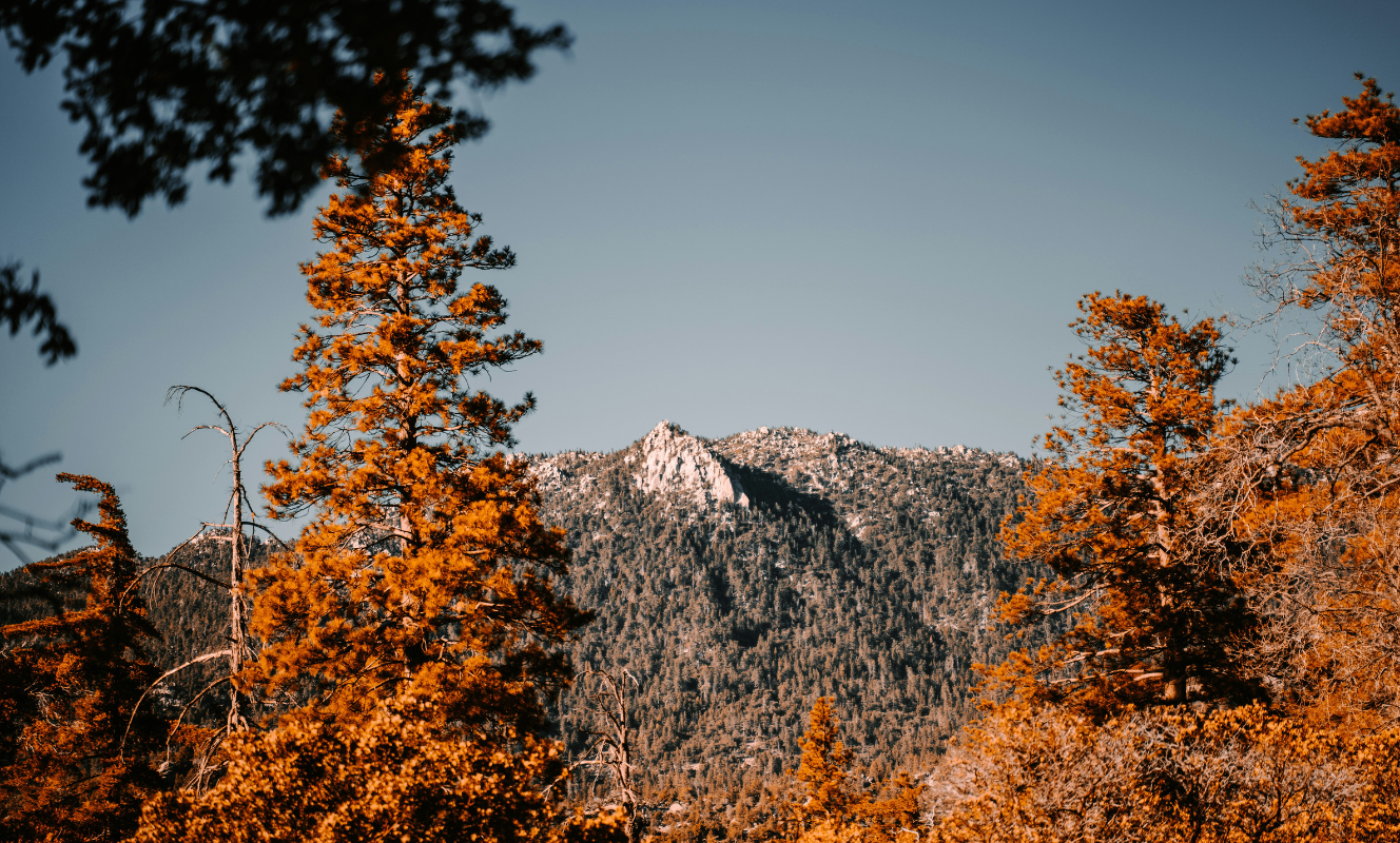 One of the cheapest places to visit in the US: Idyllwild