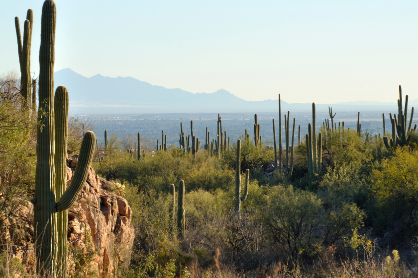 cheap warm places to travel in december