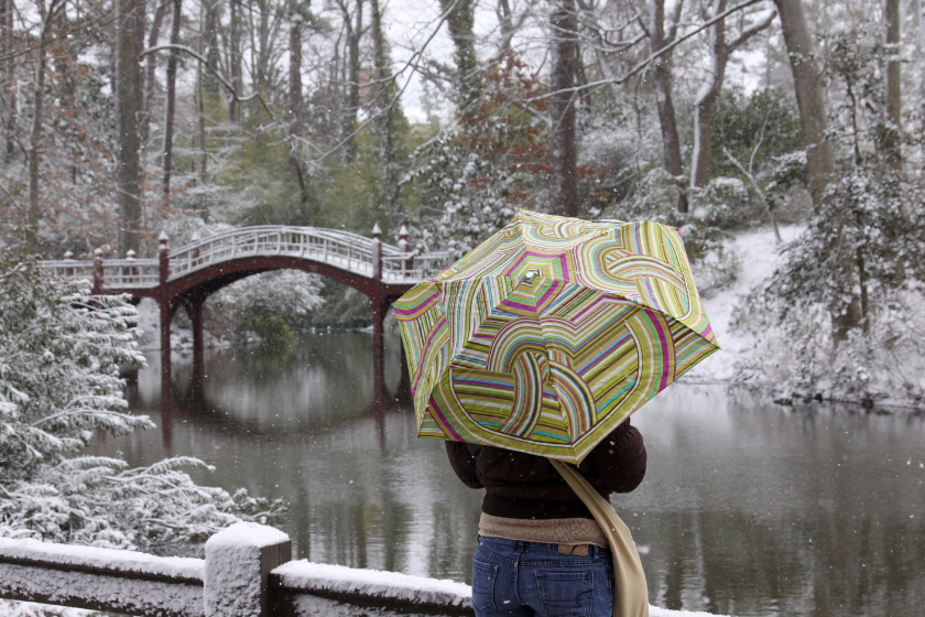 cheapest christmas vacations williamsburg