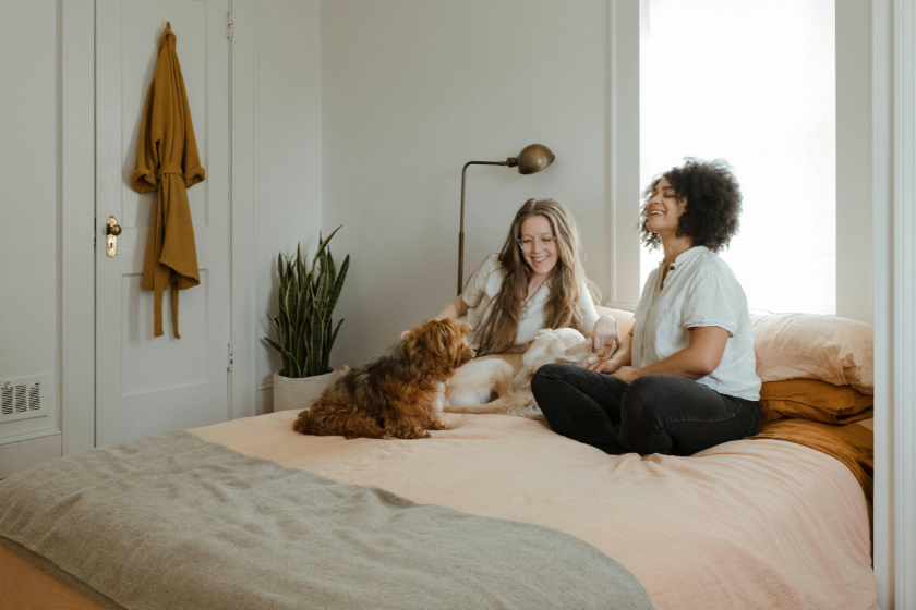 pet sitting exchange