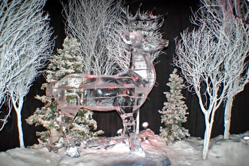 Admire the live show and ice sculptures