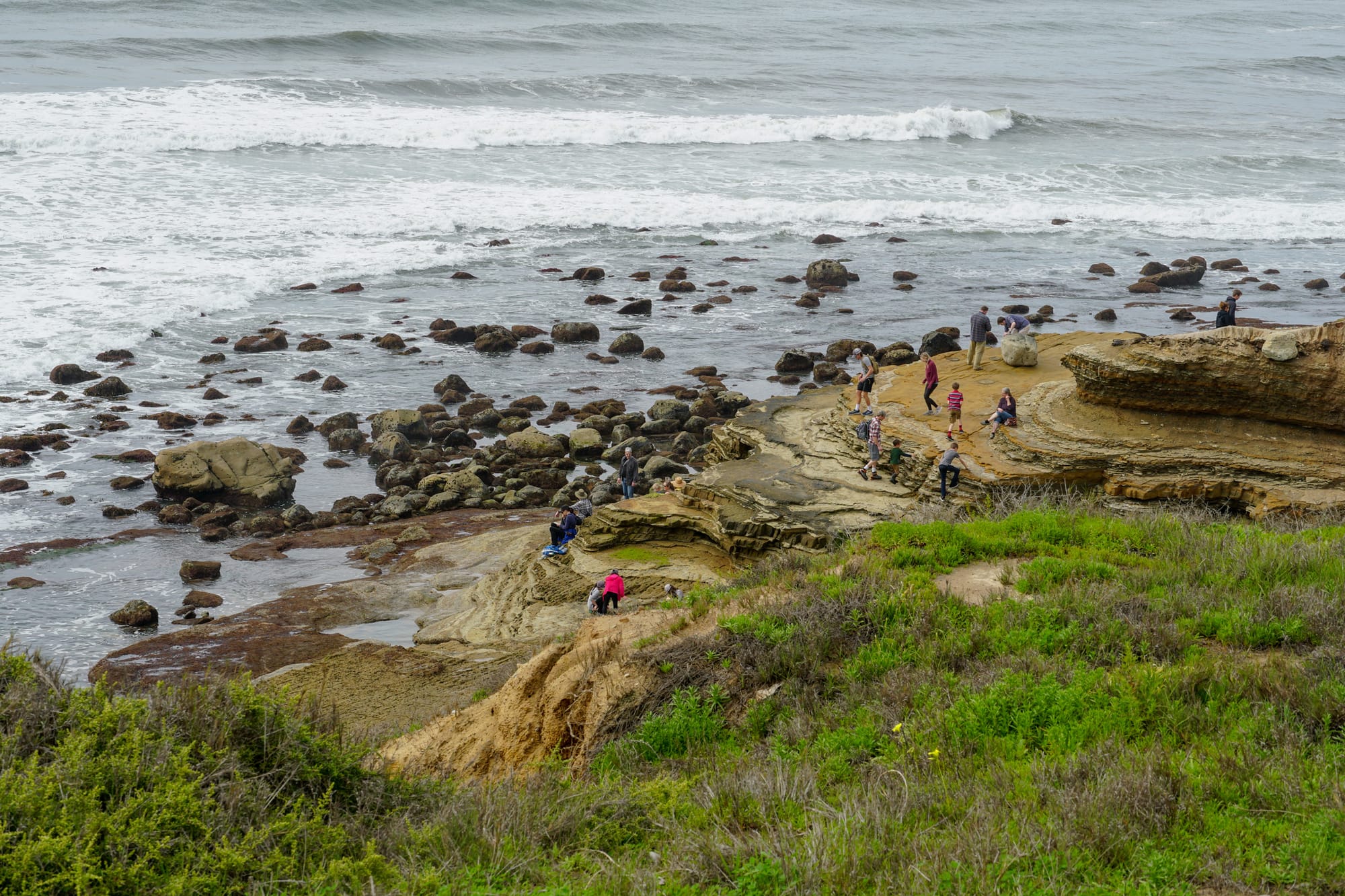 View of Cabrillo Tide Pools Coastal Trail as one of the things to do in San Diego with dogs