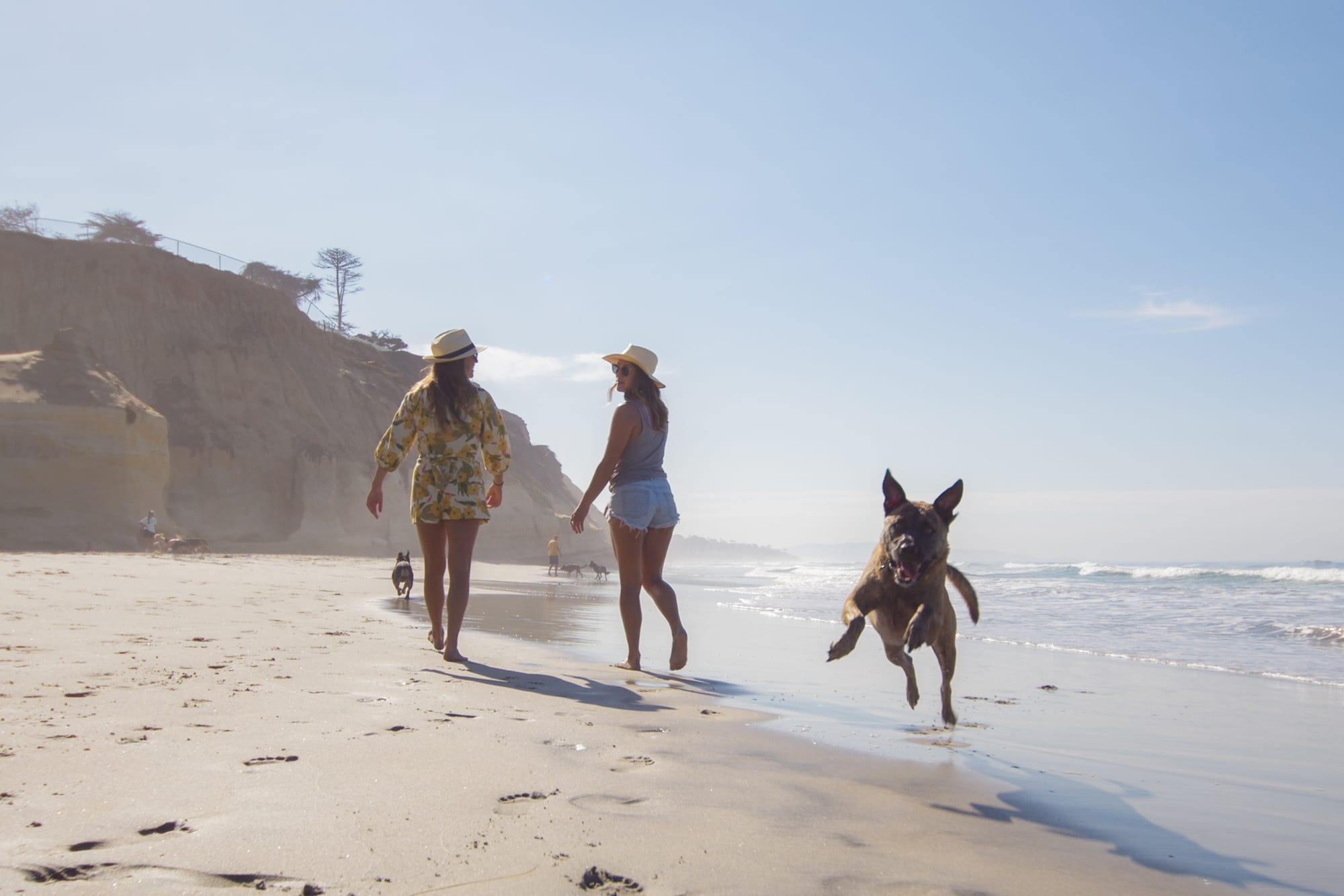 Women with their dog on Dog Beach