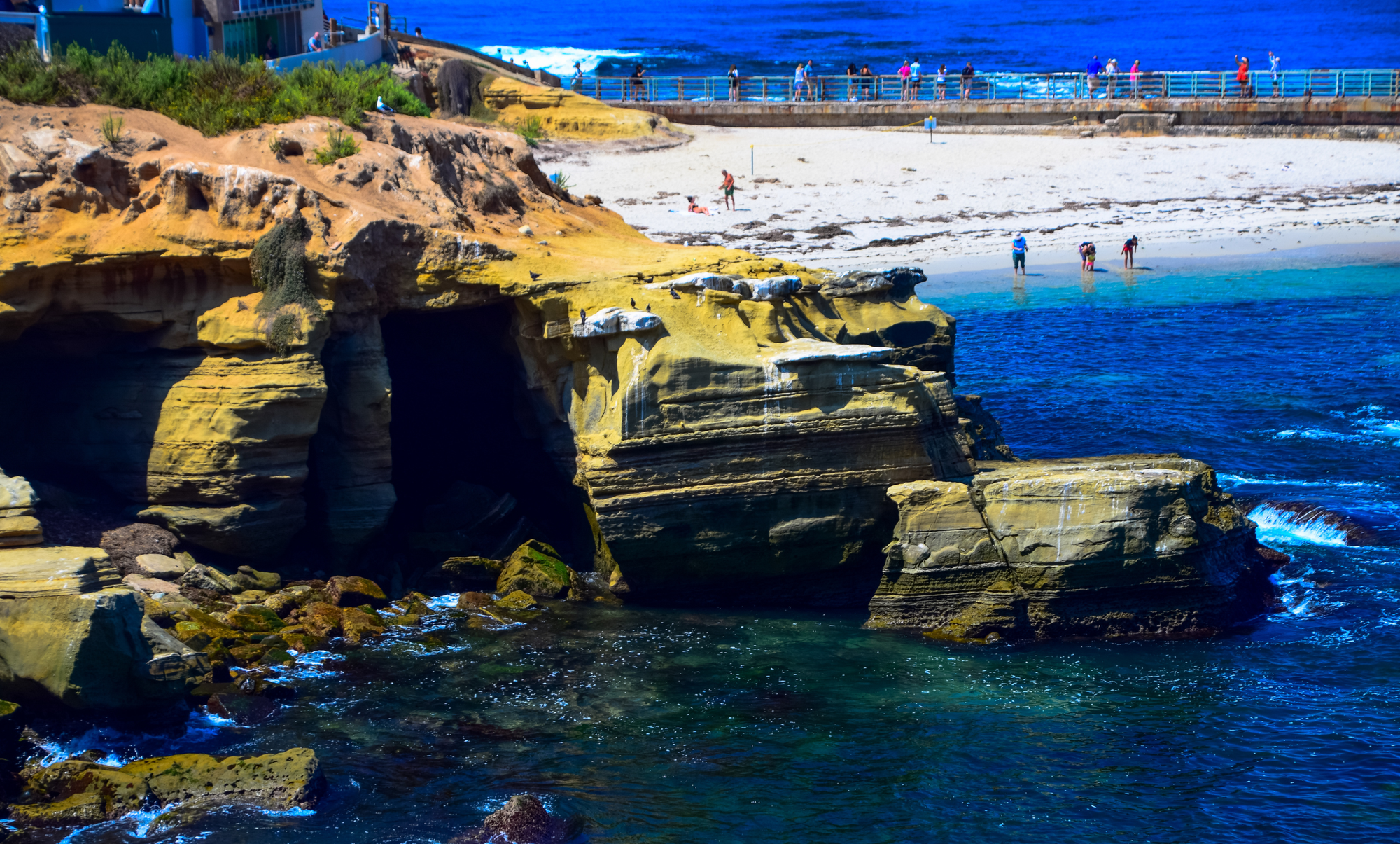 View of La Jolla Cove as one of the things to do in San Diego for families