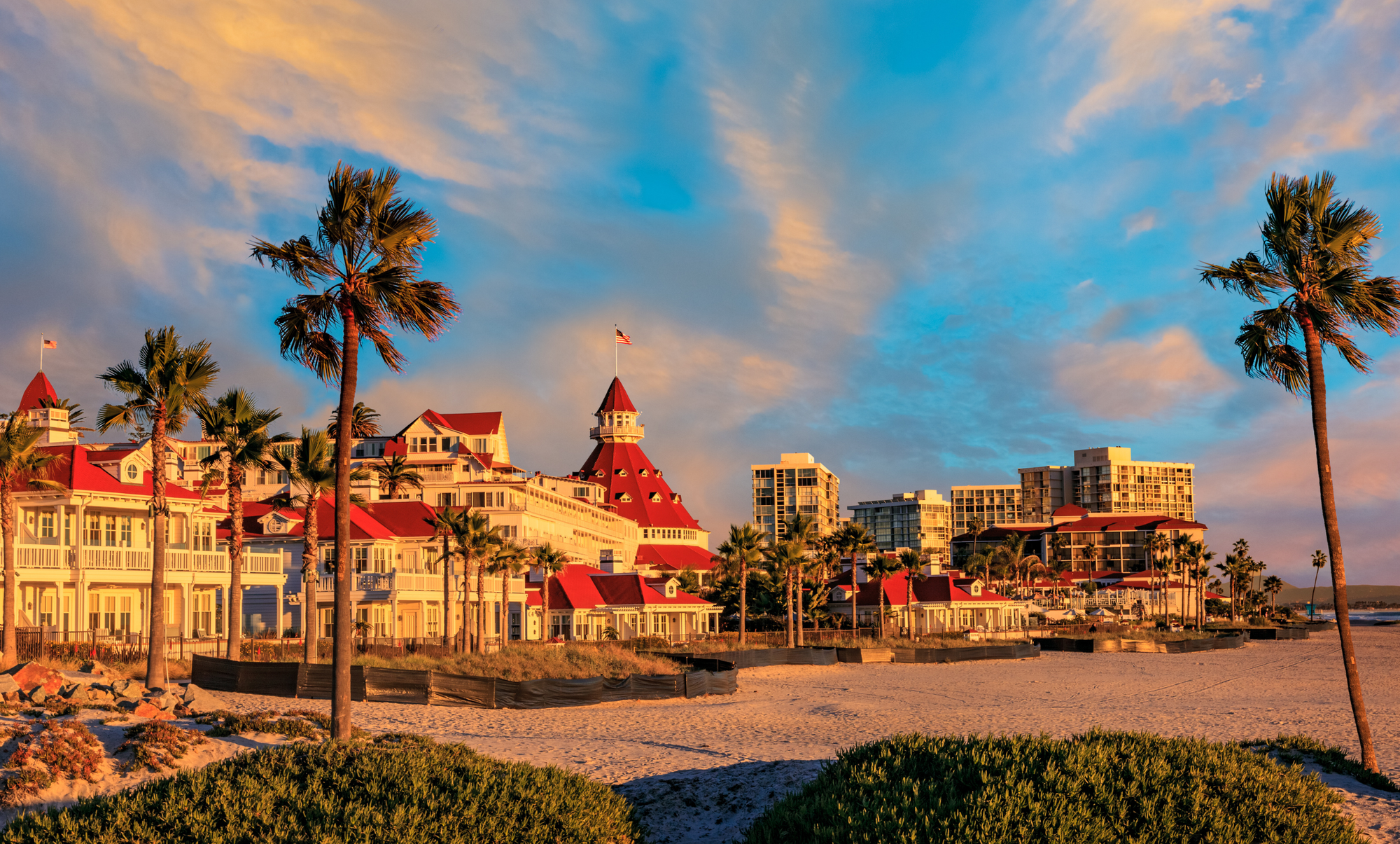Photo of Coronado Beach as one of the things to do in San Diego with dogs