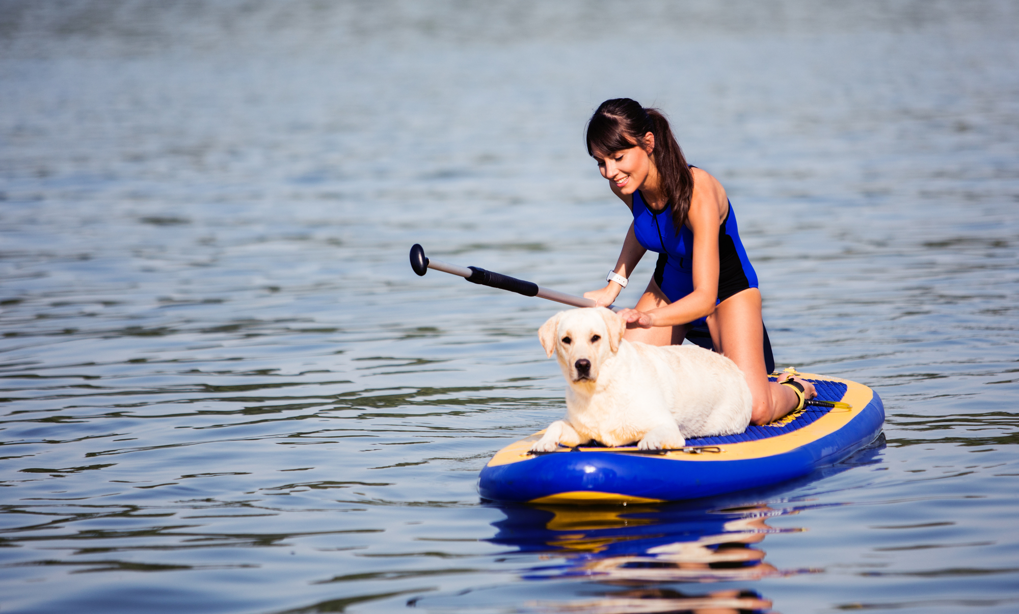 Dog-friendly paddleboarding as one of the things to do in San Diego with dogs