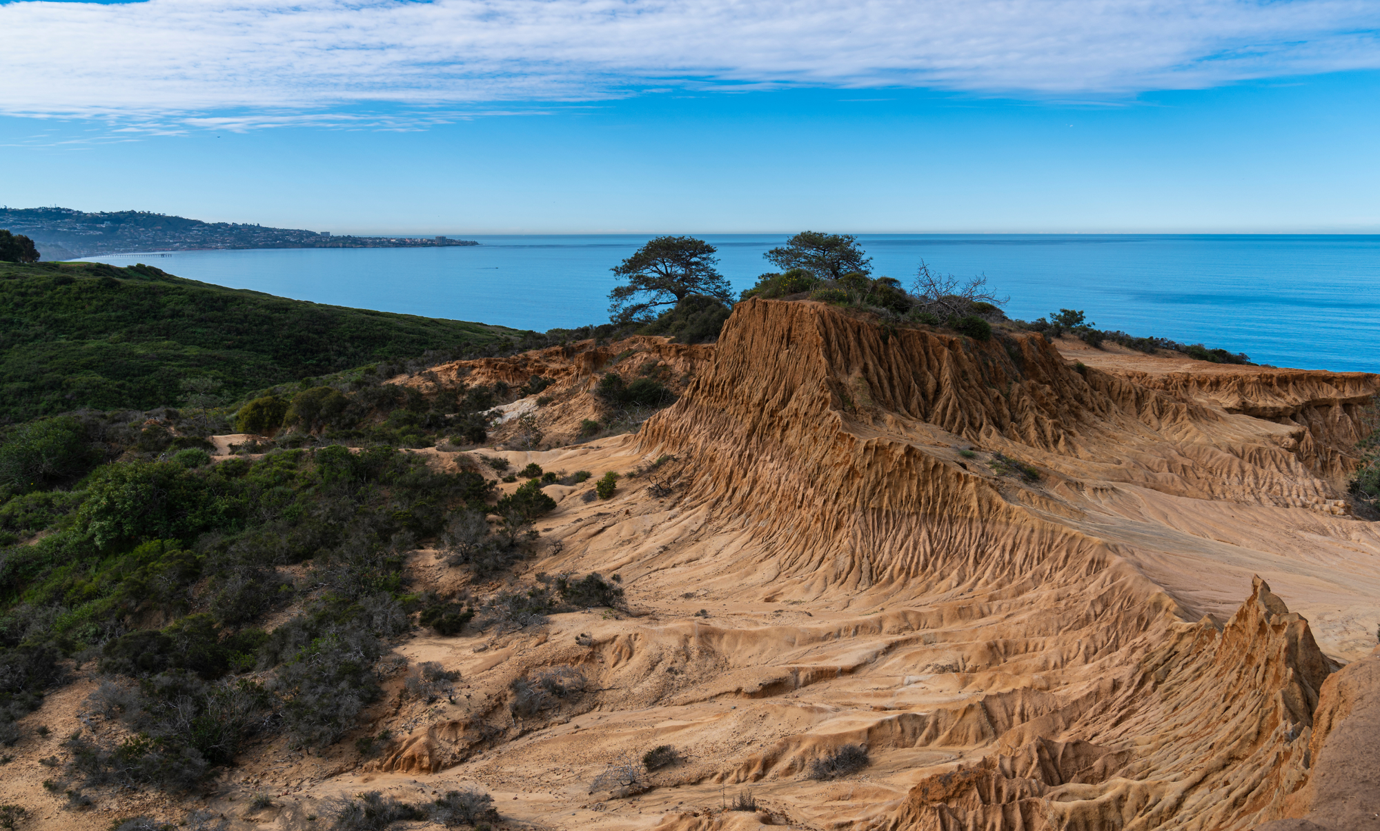 Torrey Pines State Natural Reserve as one of the things to do in San Diego alone