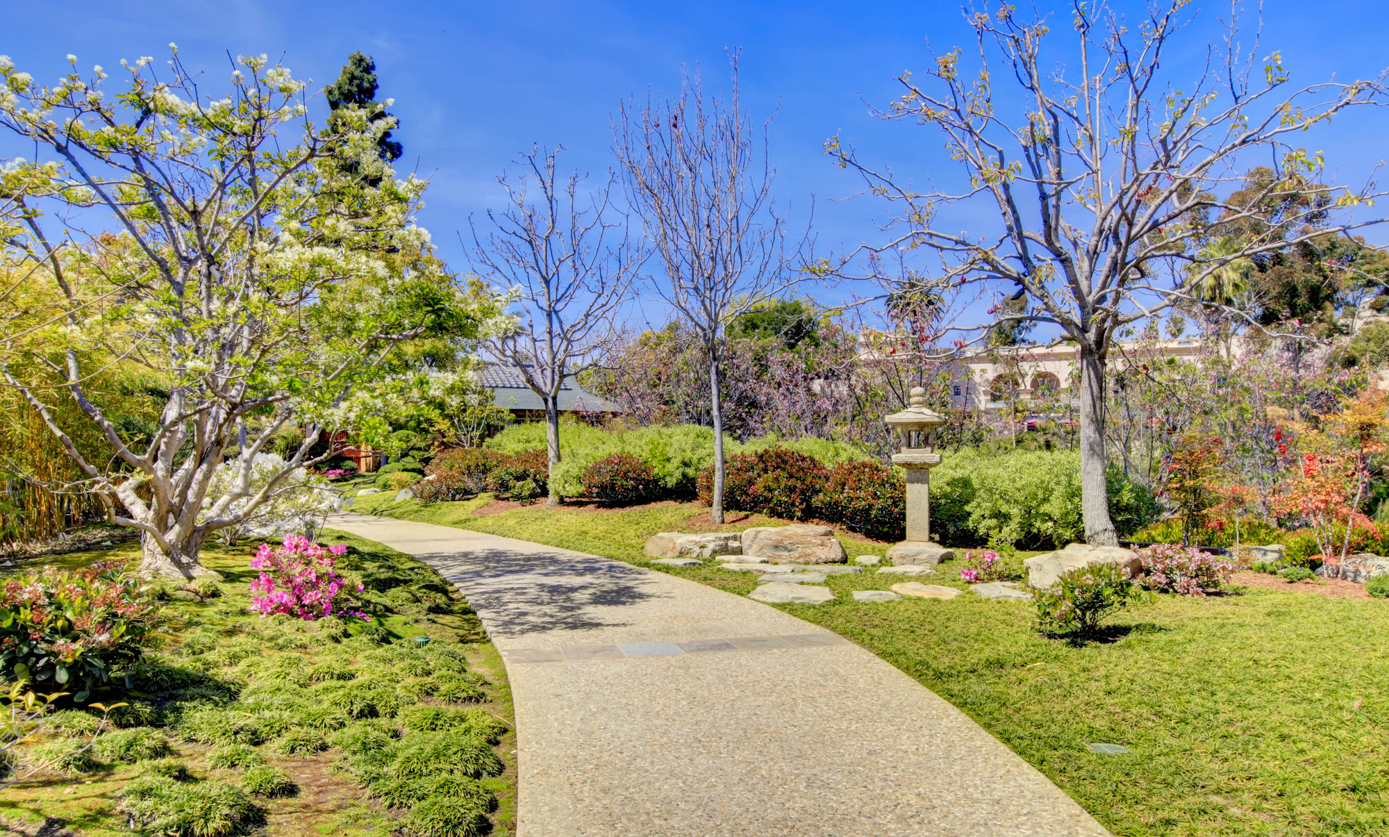 Japanese Gardens in San Diego