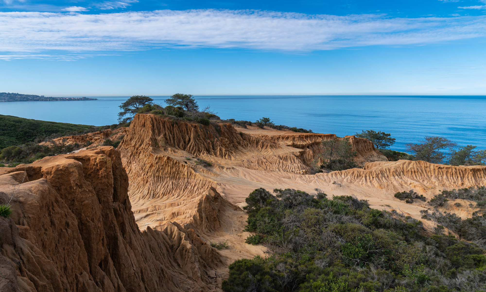 View of Torrey Pines State Natural Reserve as one of the things to do in San Diego for families
