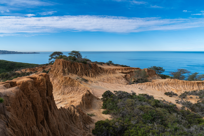 Torrey Pines State Natural Reserve