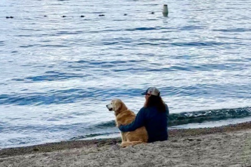 traveling with a dog - lake tahoe
