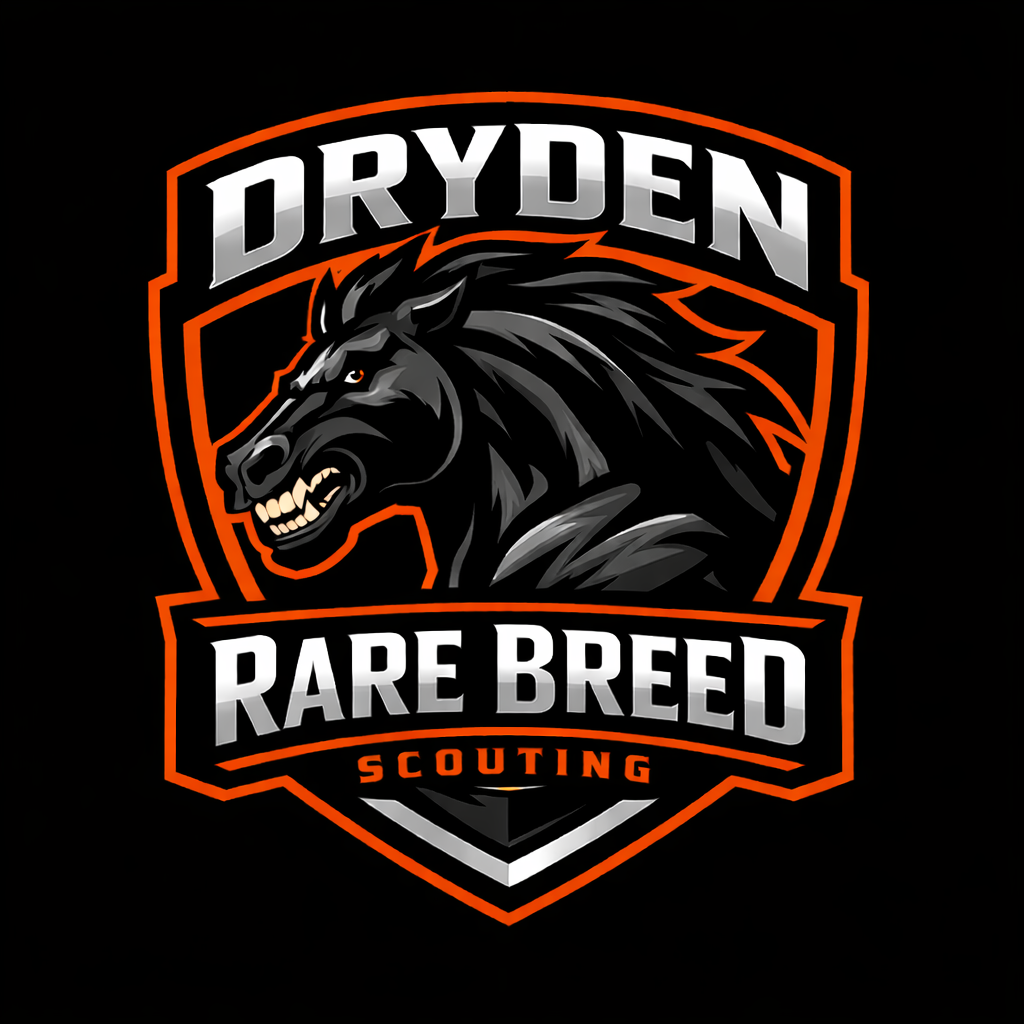 Arvell Reese Rare Breed Scouting Report