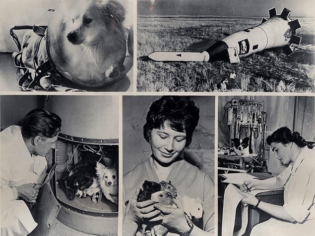 The Most Twisted Soviet Science Experiments Ever