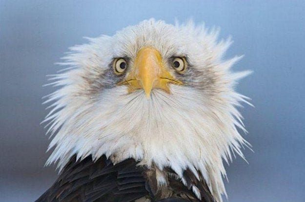 10 Weirdest Moments in US History