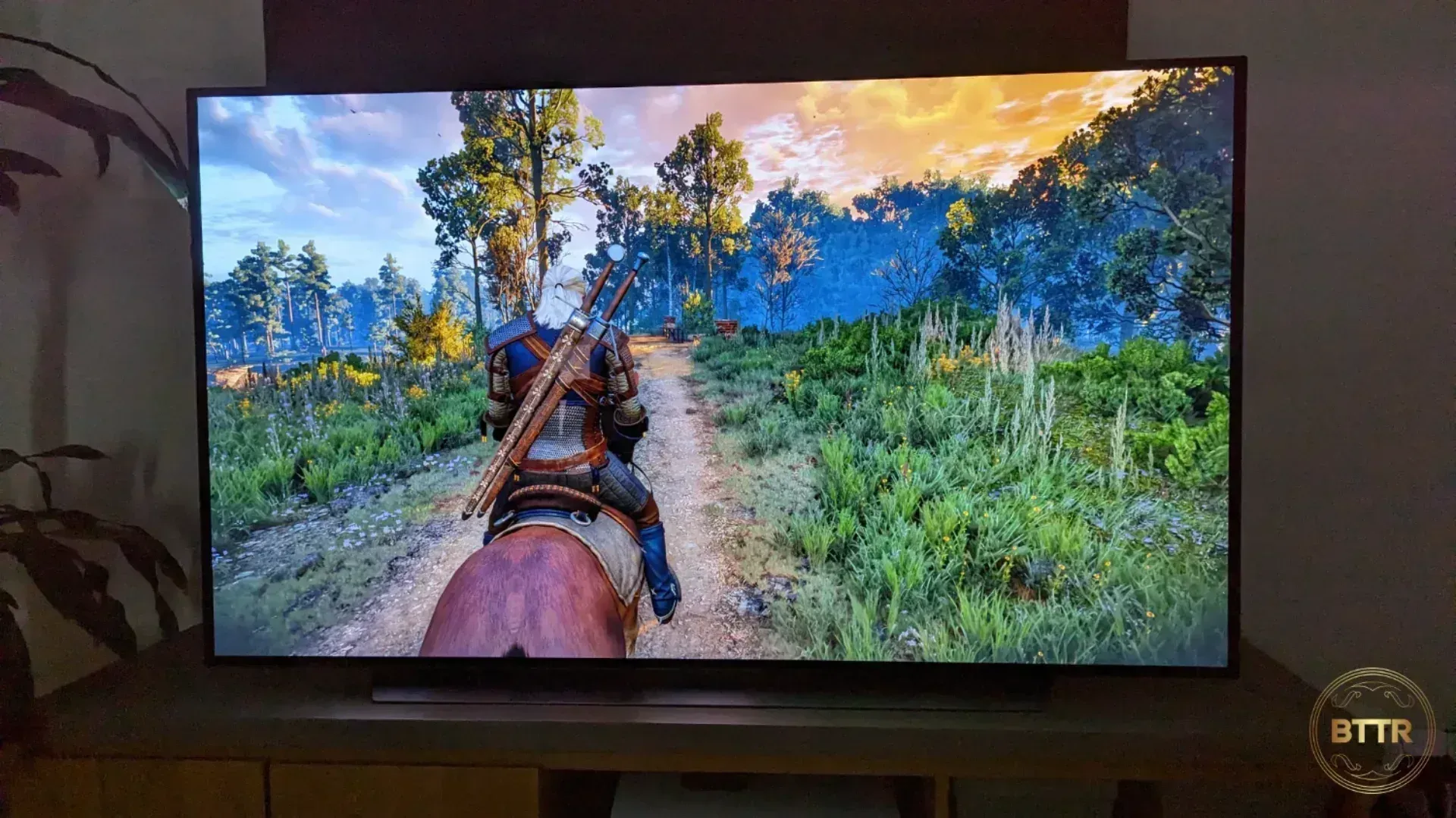 You can see the vibrant colours of the OLED while playing the Witcher 3 in 4K