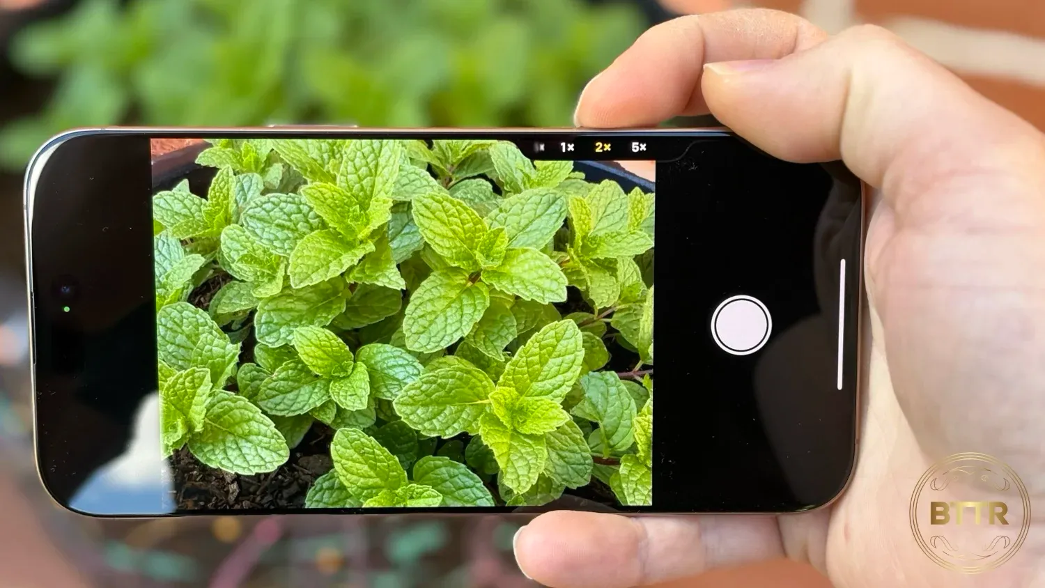 Using the iPhone 16 Pro Max's camera control button