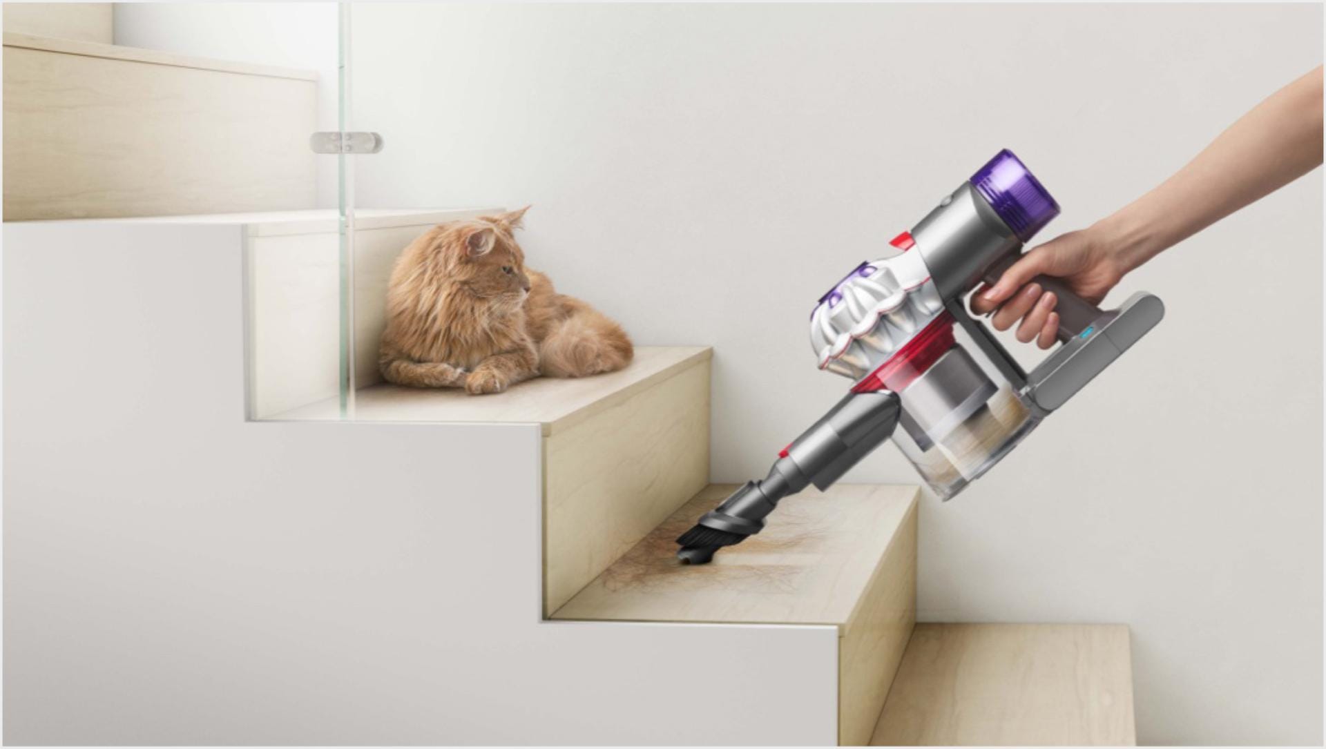 A promotional image for the Dyson V8 cleaning some steps. It looks identical to the previous image except it has a cat on one of the steps.