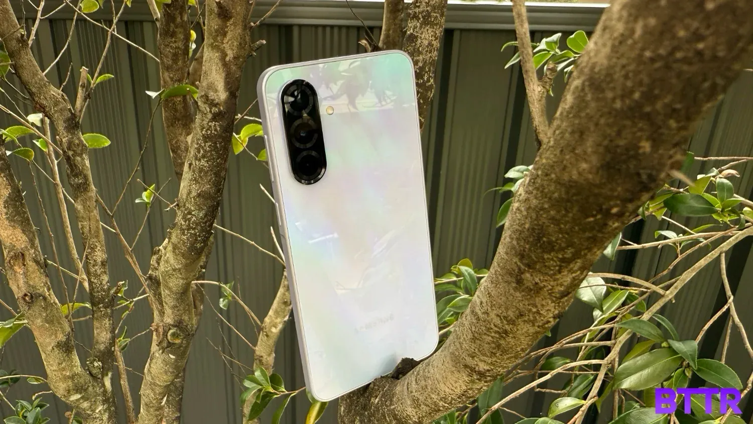 The Galaxy A36 stuck in a tree