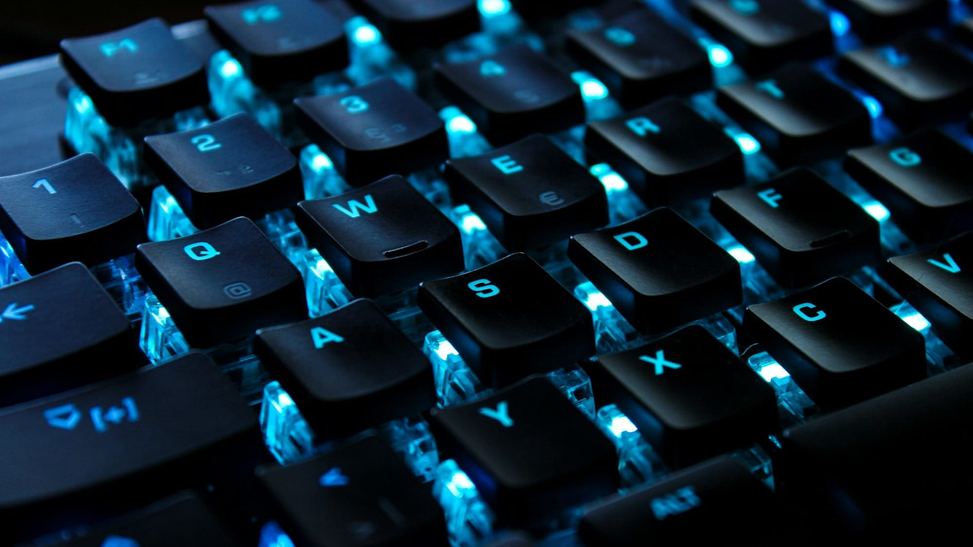 Keyboards & Mice
