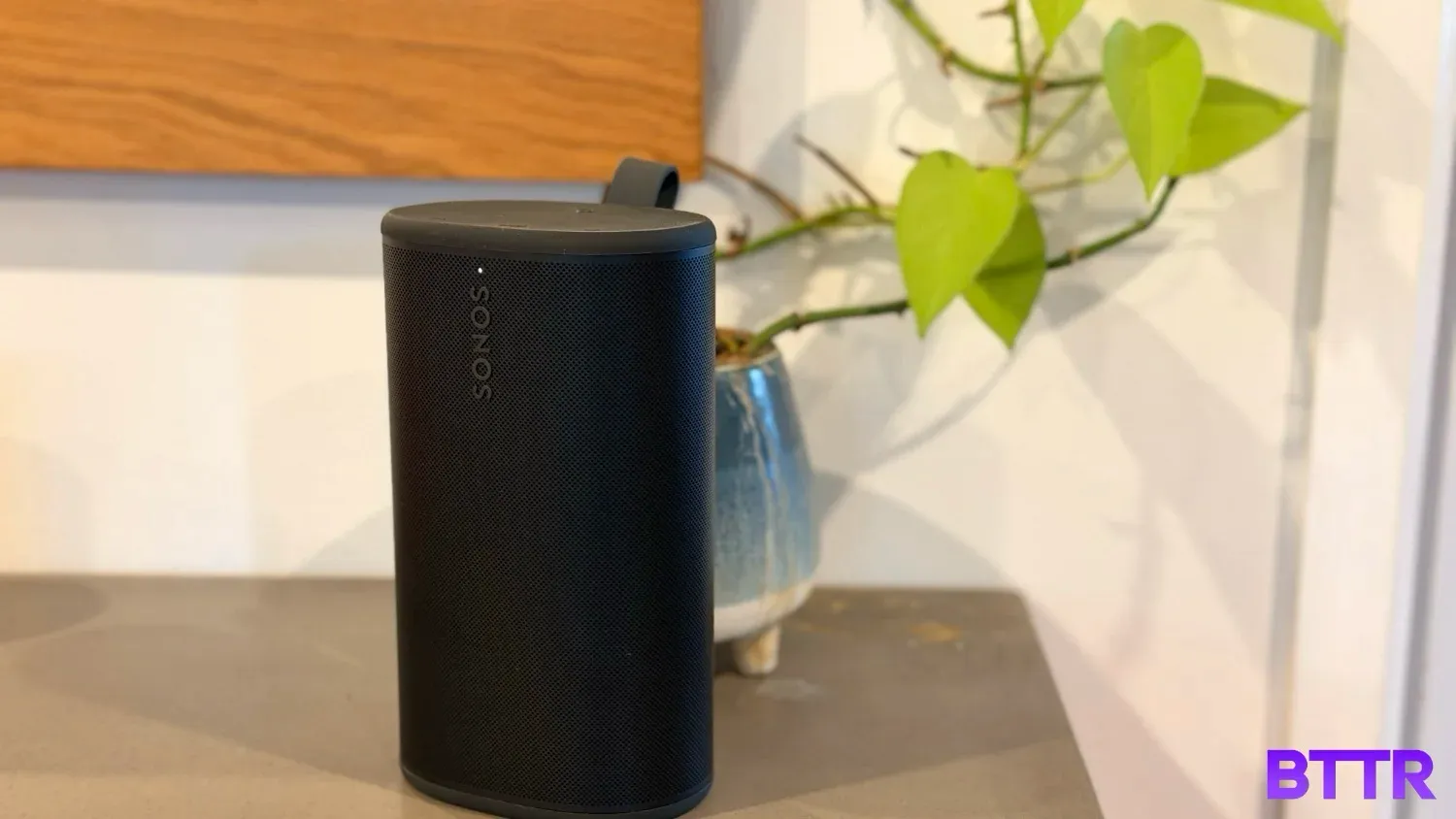 The Sonos Play in front of a house plant.