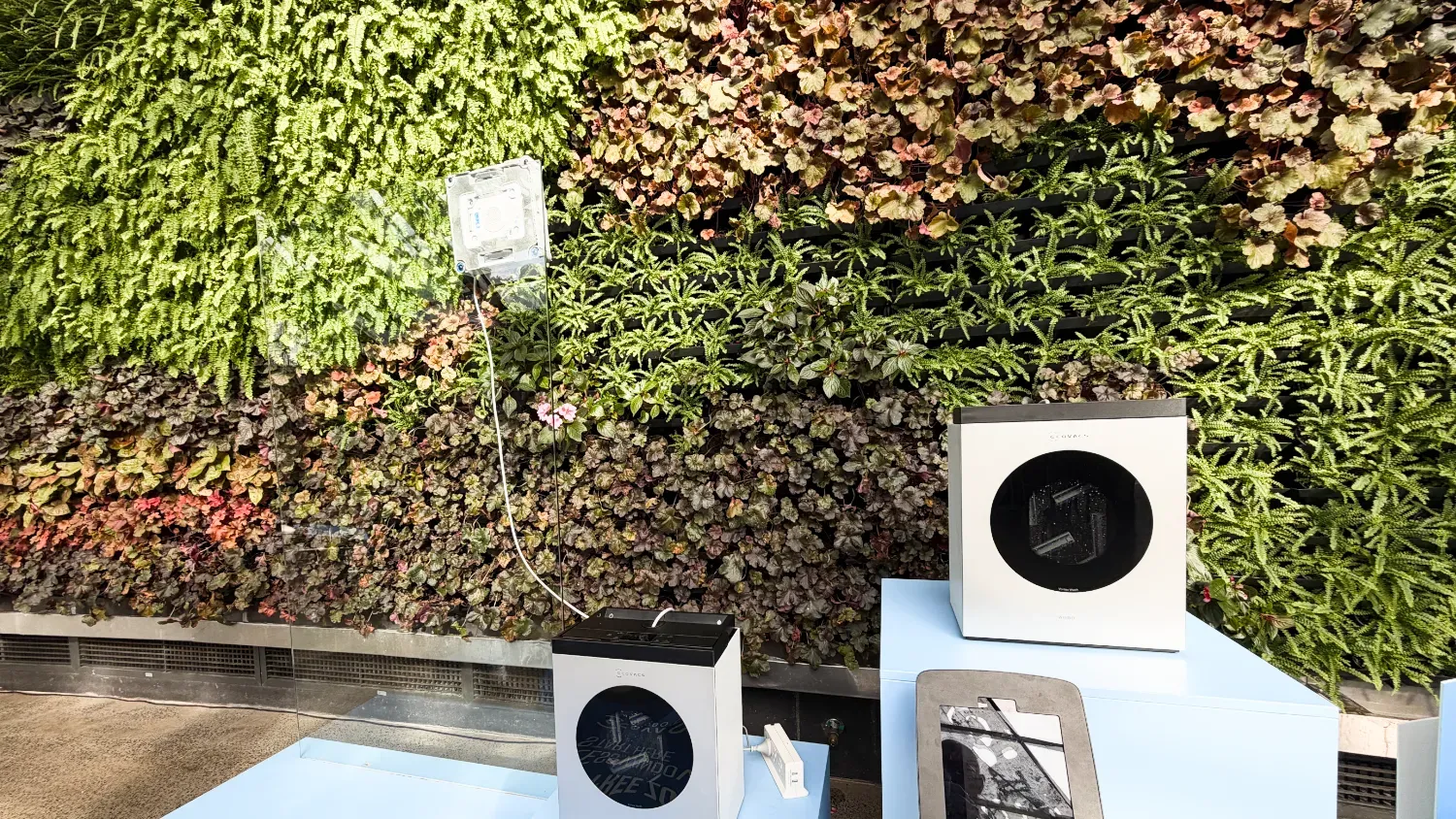 The Winbot W3 cleaning a pane of glass in front of a plant wall.