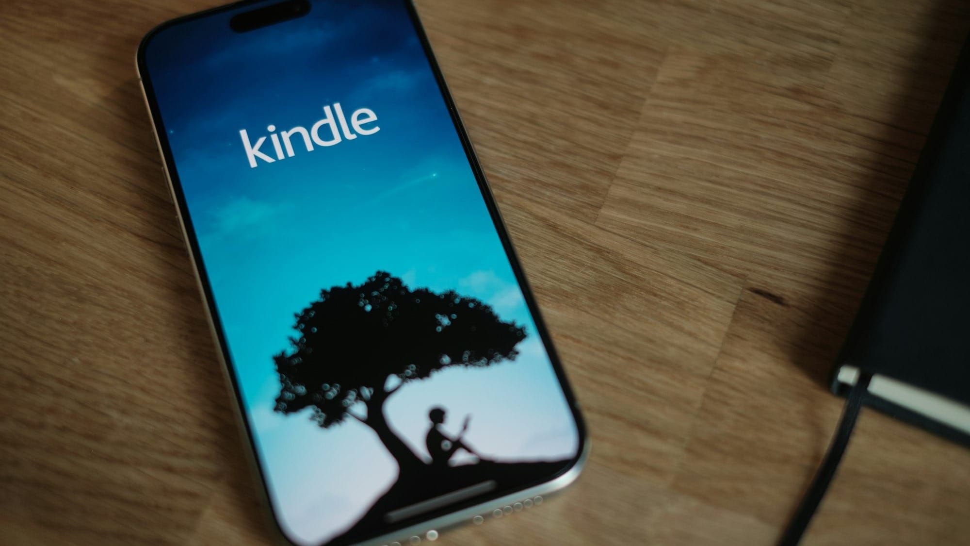 When will I be able to buy Kindle books through the iOS app, dammit?