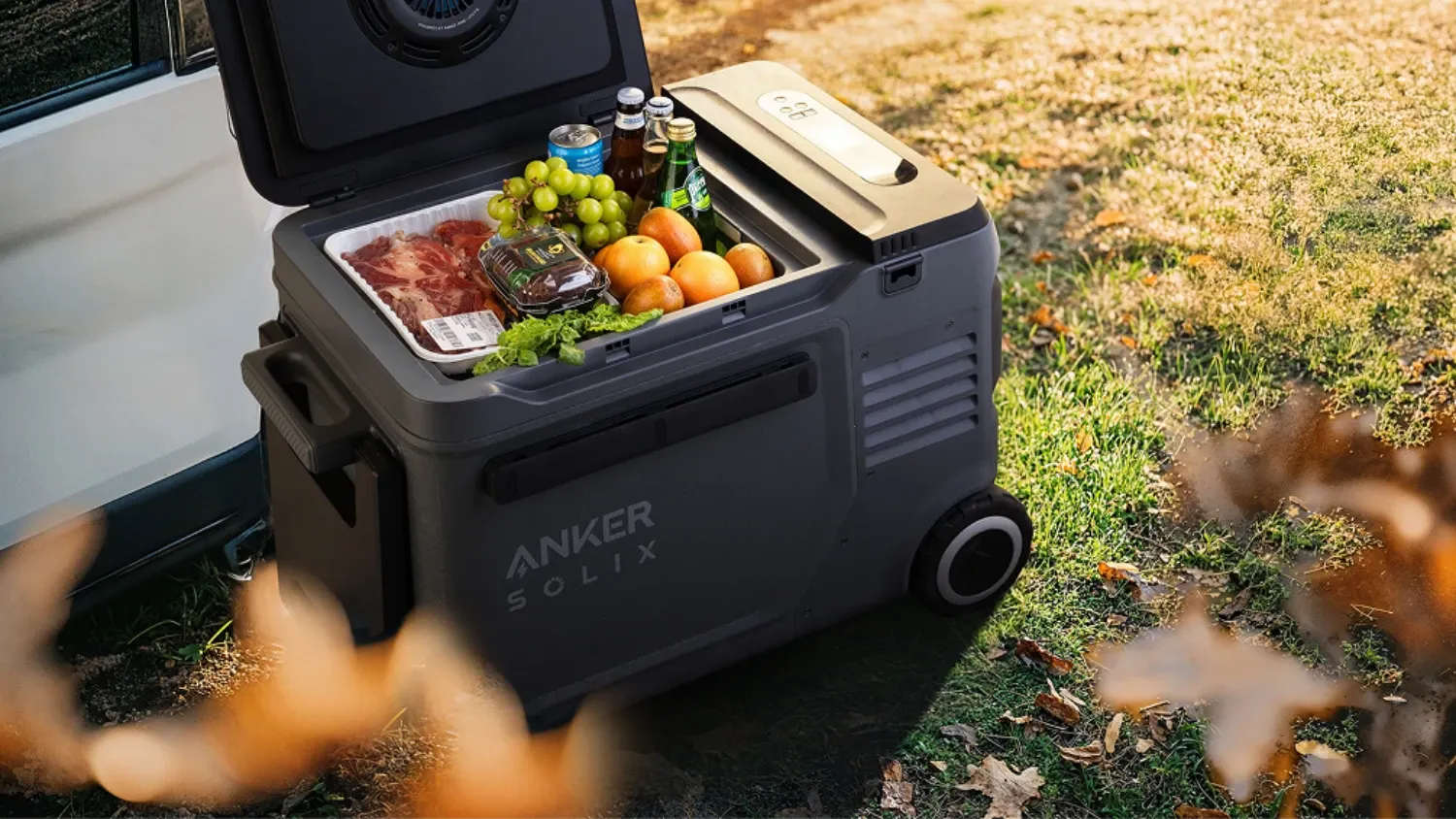 An open Anker SOLIX Everfrost 2  full of food and drink on grass