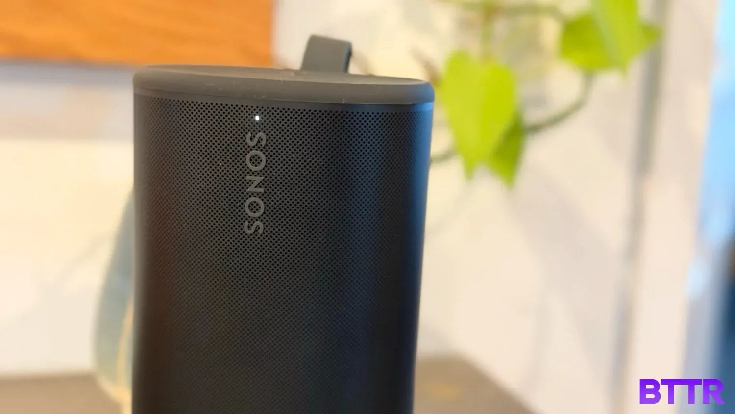 Close up of the Sonos Play with a houseplant in the background