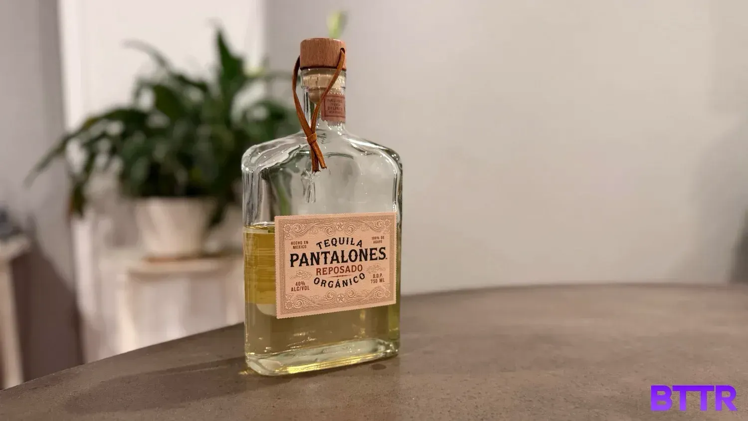 Pantalones Reposado on a table with aplant in the background