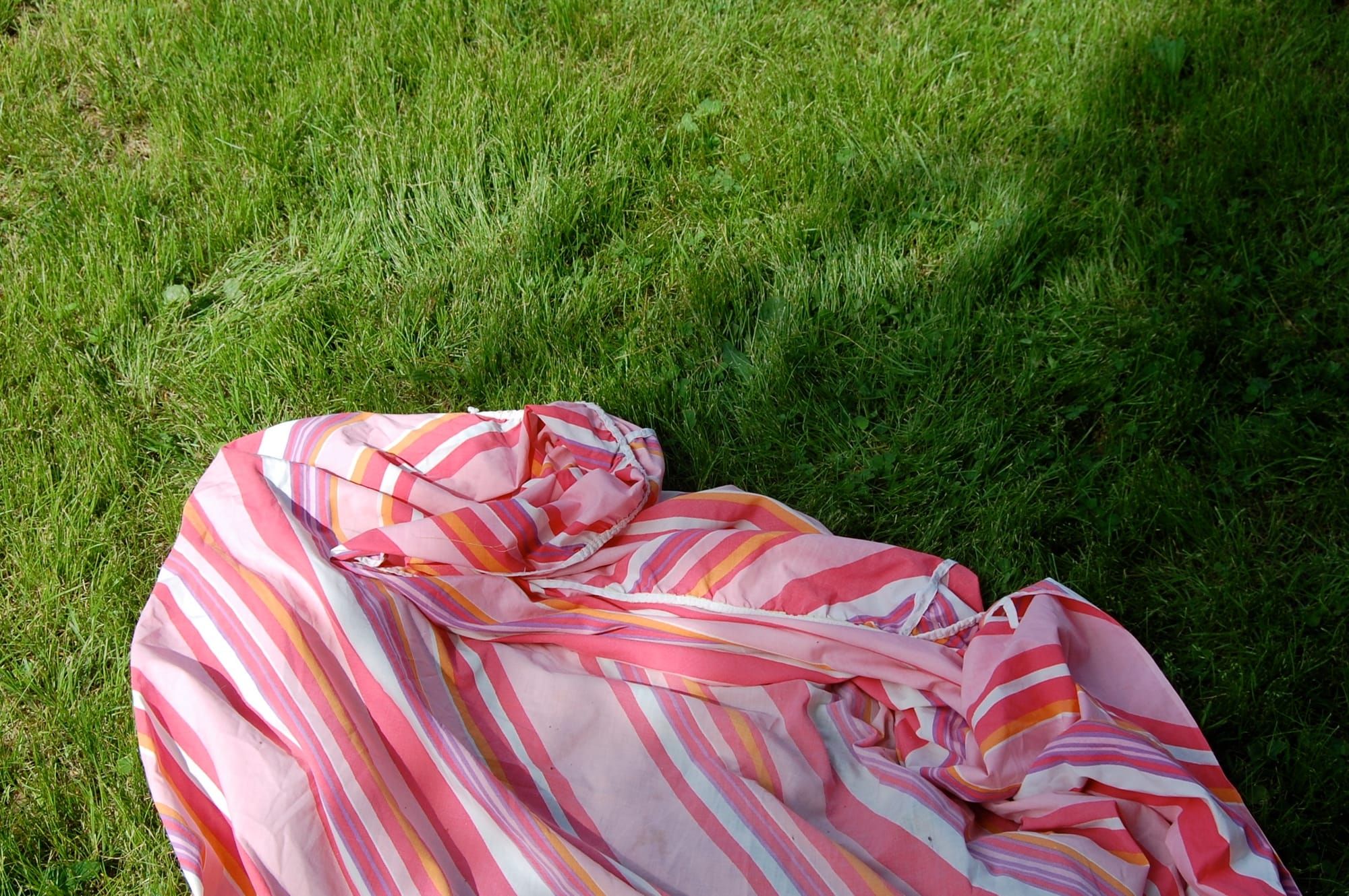 Picnic, America, 2025