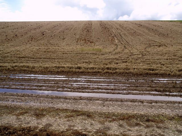 Image of a fallow field