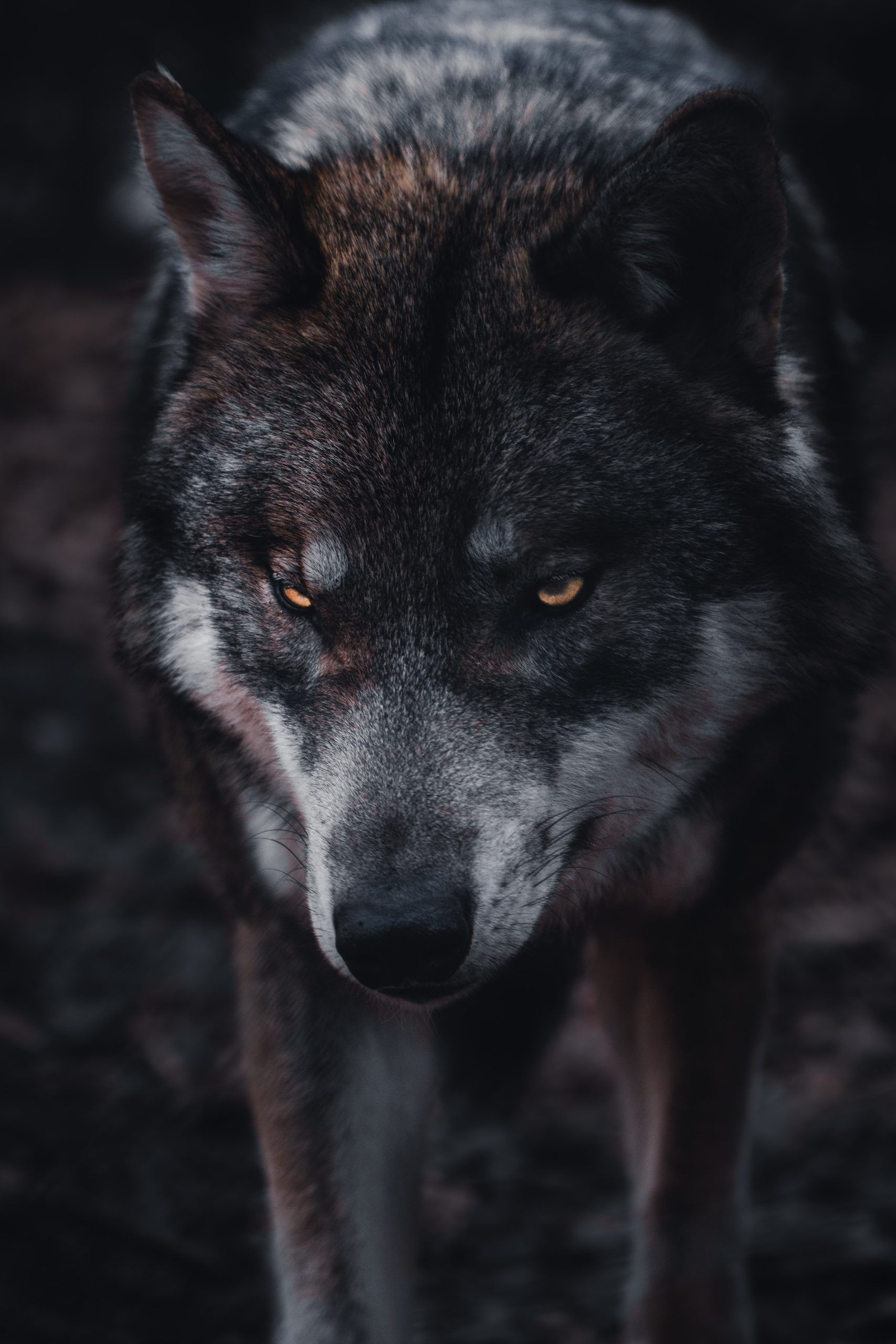 I Fear Nothing More Than Wasting Time