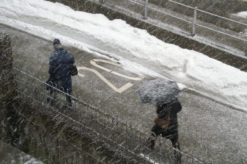Foul Weather Friend