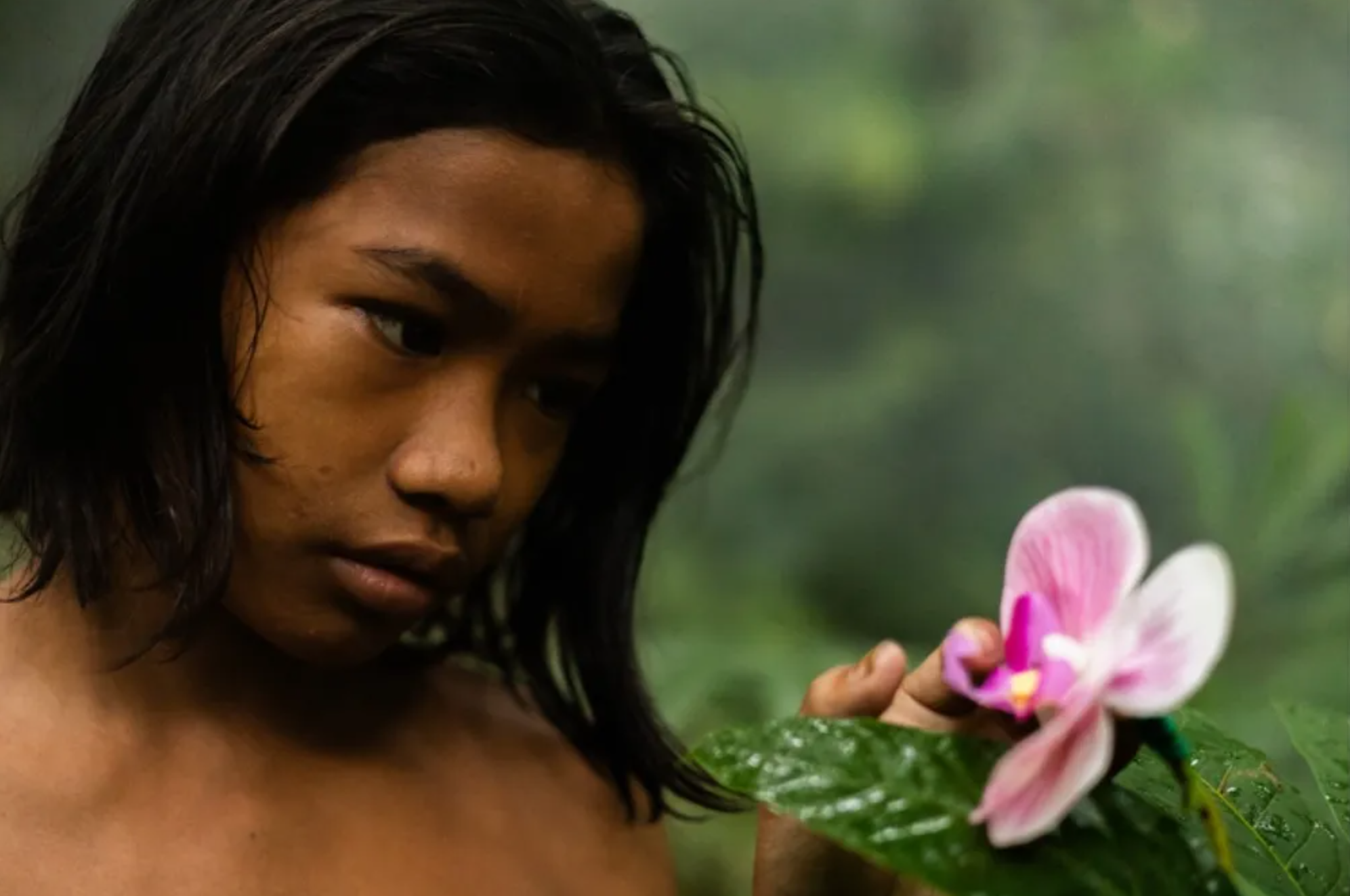A young Pilipino boy with a  sholder-length black bob and dark eyes looks longingly at an elegant pink orchid in a lush jungle. 