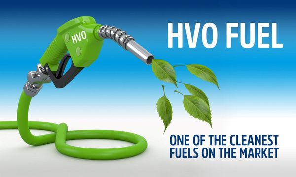 HVO
