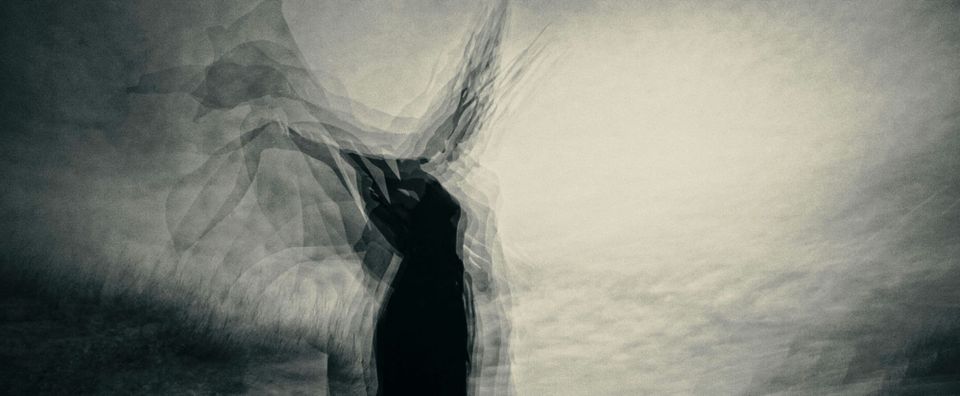 The Frequency Of The Forest: On The Rhythm That Called The Witch & The Architecture of Emergence