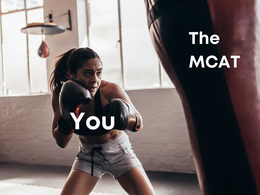 Woman labeled "You" punching a bag labeled "The MCAT"