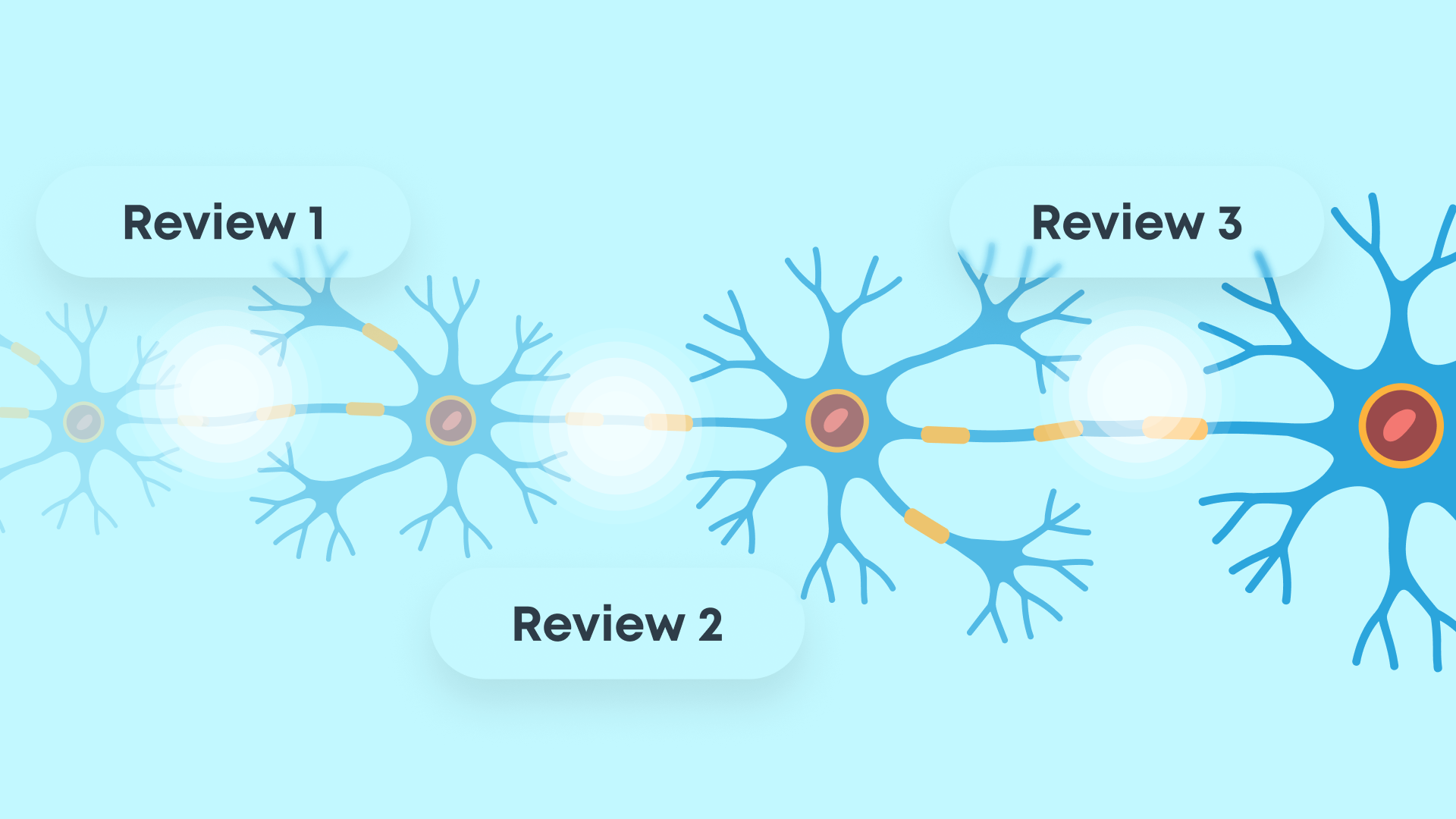 Retrieval practice: neural pathways strengthening with reviews