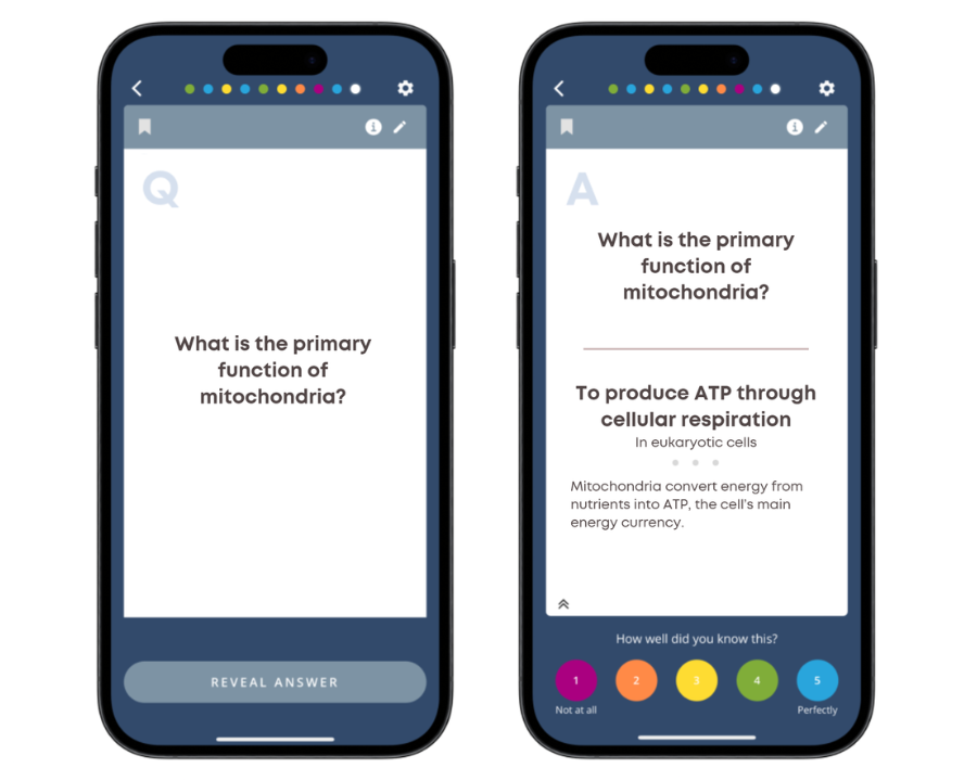 Example of flashcard with clarifier and footnote