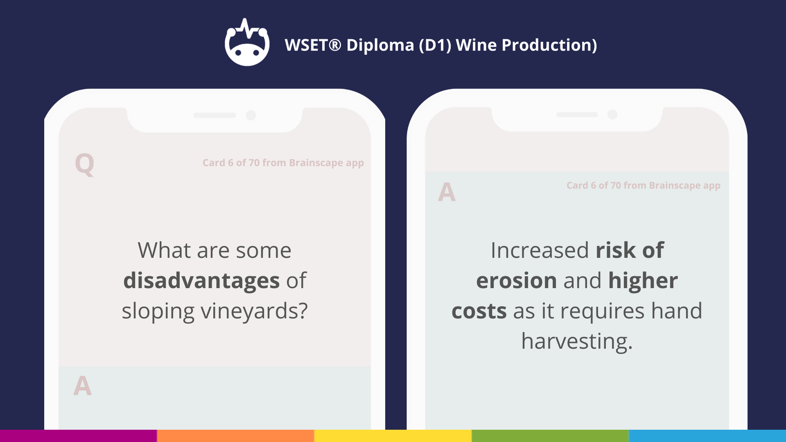 WSET Level 4 Diploma flashcards Wine Production WSET Level 4 Diploma flashcards Wine Production