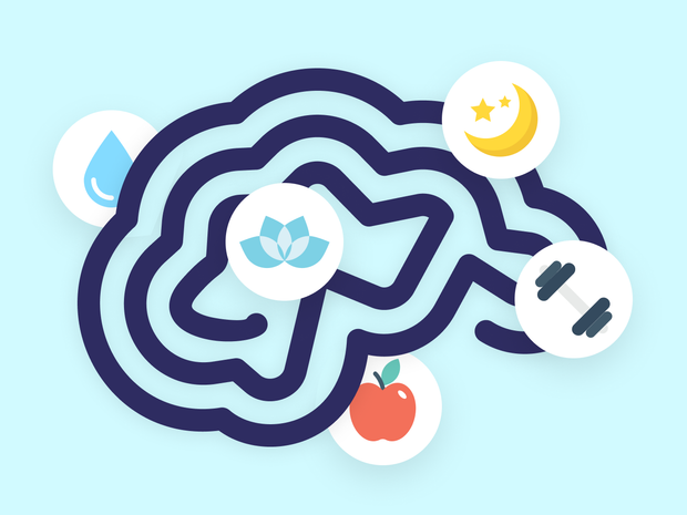 How To Optimize Your Brain Health For Effective Studying